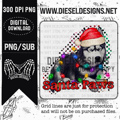 Puppy 1 | 300 DPI | Transparent PNG |