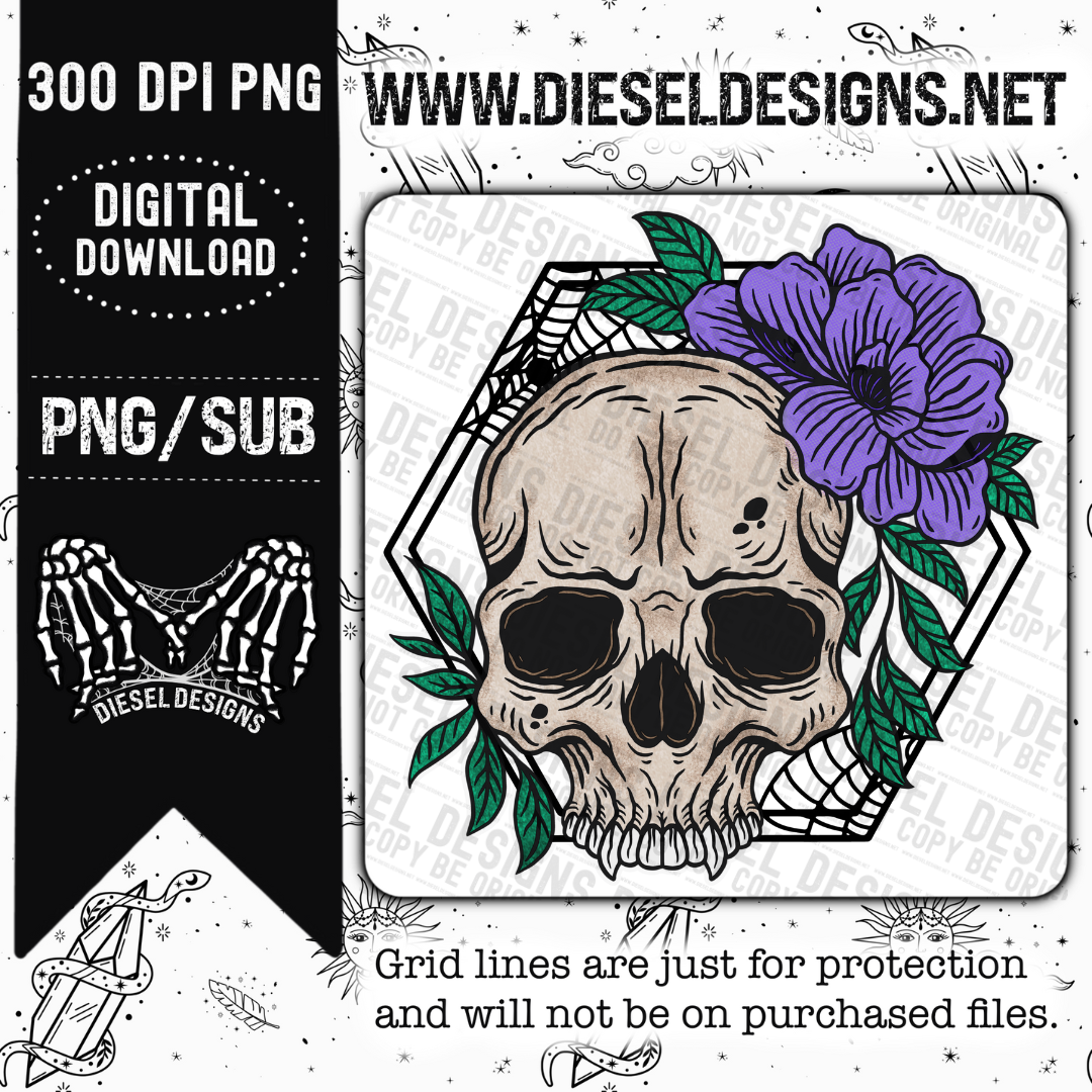 Spiderweb SKull | 300 DPI | Transparent PNG