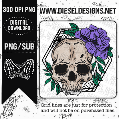 Spiderweb SKull | 300 DPI | Transparent PNG